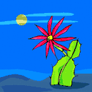 image Plants Cactuses