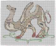 pattern Animals Camels