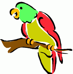 image Animals Birds