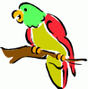 image  Animals Birds