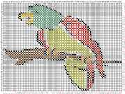 pattern Animals Birds
