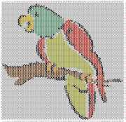 pattern Animals Birds