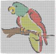 pattern Animals Birds