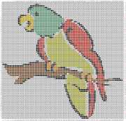 pattern Animals Birds