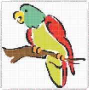 pattern Animals Birds