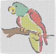 pattern Animals Birds
