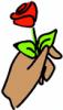 image  Plants Roses