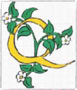 pattern Plants Flowers Letters & numbers Flowers