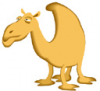 image  Animals Camels