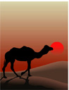 image Weather Sun