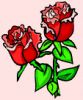 image  Plants 