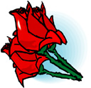 image Plants Roses