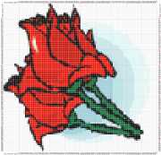 pattern Plants Roses