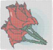 pattern Plants Roses