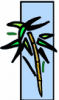 image  Plants 