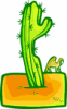 image  Plants Cactuses