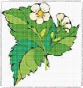 pattern Plants Strawberries