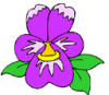 image  Plants 