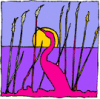 image  Animals 