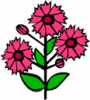 image  Plants Flowers