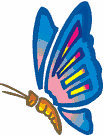 image Animals Butterflies