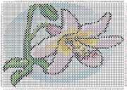 pattern Plants Flowers