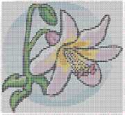pattern Plants Flowers