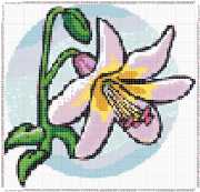 pattern Plants Flowers
