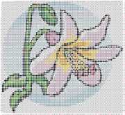 pattern Plants Flowers