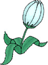 image Plants Flowers