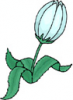 image  Plants Flowers