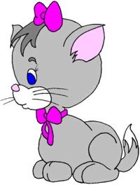 image Animals Cats