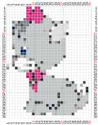 pattern Animals Cats
