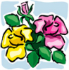 image  Plants Flowers