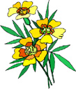 image Plants Flowers