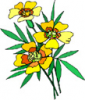 image  Plants 