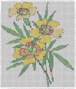 pattern Plants Flowers