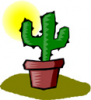 image  Plants Cactuses