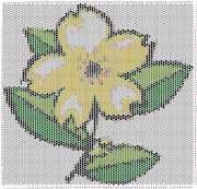 pattern Plants Flowers