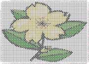 pattern Plants Flowers