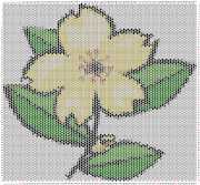 pattern Plants Flowers