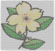 pattern Plants Flowers
