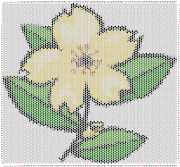 pattern Plants Flowers