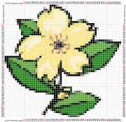 pattern Plants Flowers