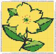 pattern Plants Flowers