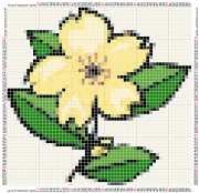 pattern Plants Flowers