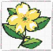 pattern Plants Flowers