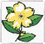 pattern Plants Flowers