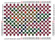 pattern Plants Flowers