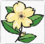 pattern Plants Flowers
